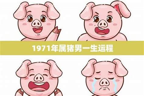 1971年属猪人的命运|1971年出生属什么生肖 1971年属猪是什么命